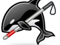 orca segurando bengala guia embaixo da nadadeira lateral